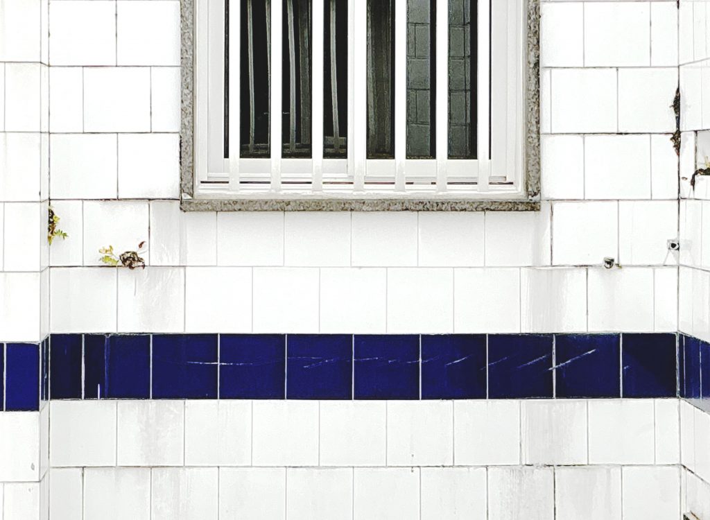 Foto de grietas, eflorescencias y vegetación emergente en fachada revestida con azulejo esmaltado.